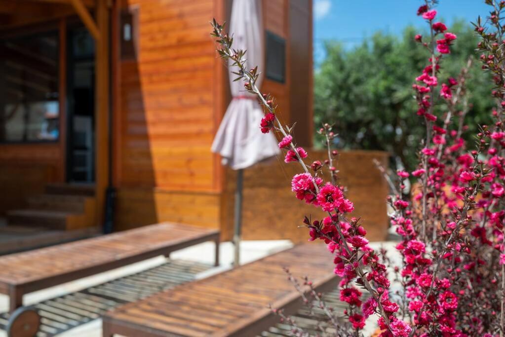 Tiny Villa Among The Olives Heraklion Zewnętrze zdjęcie